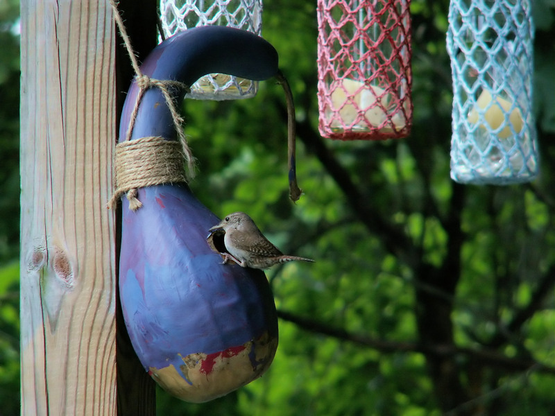 Why Effective Waste Clearance Services Are Needed